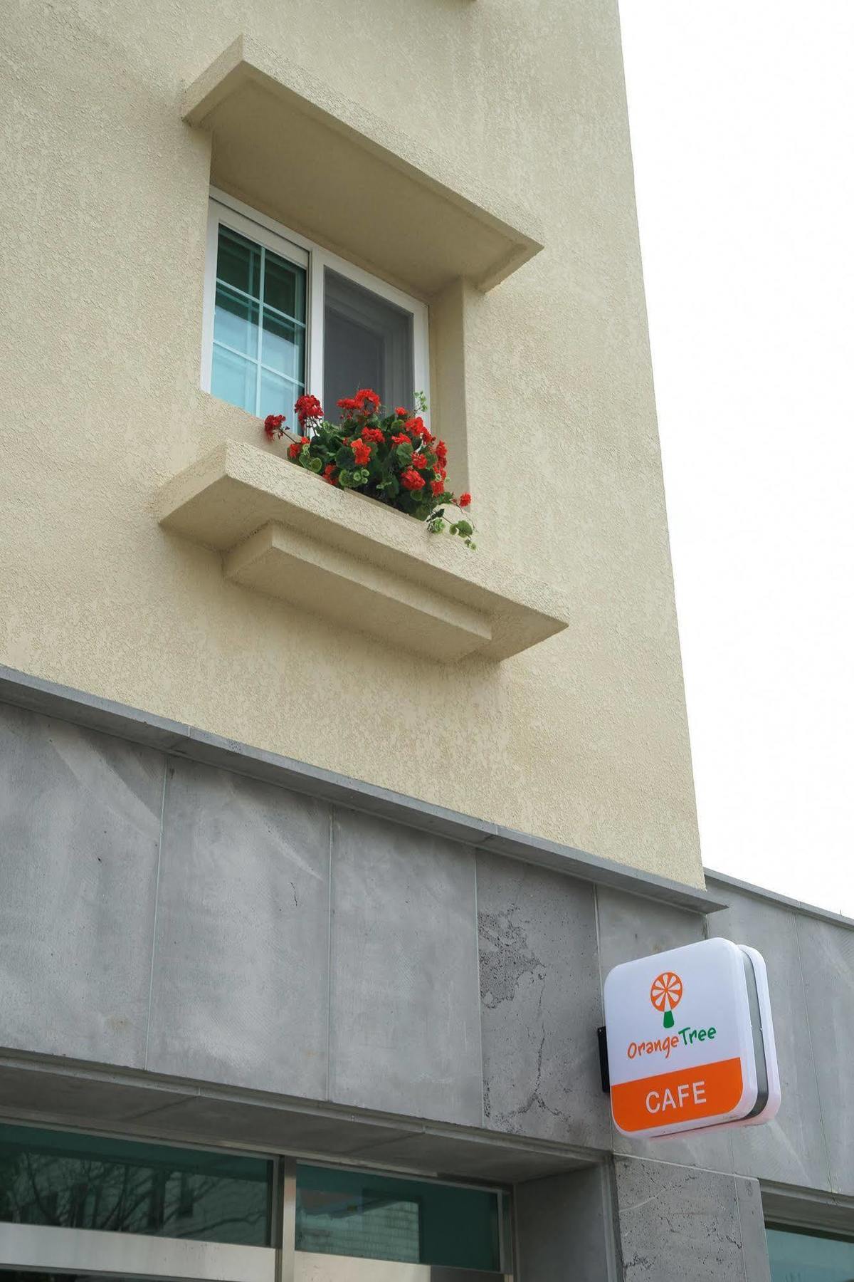 Orange Tree Hotel Jeju Extérieur photo