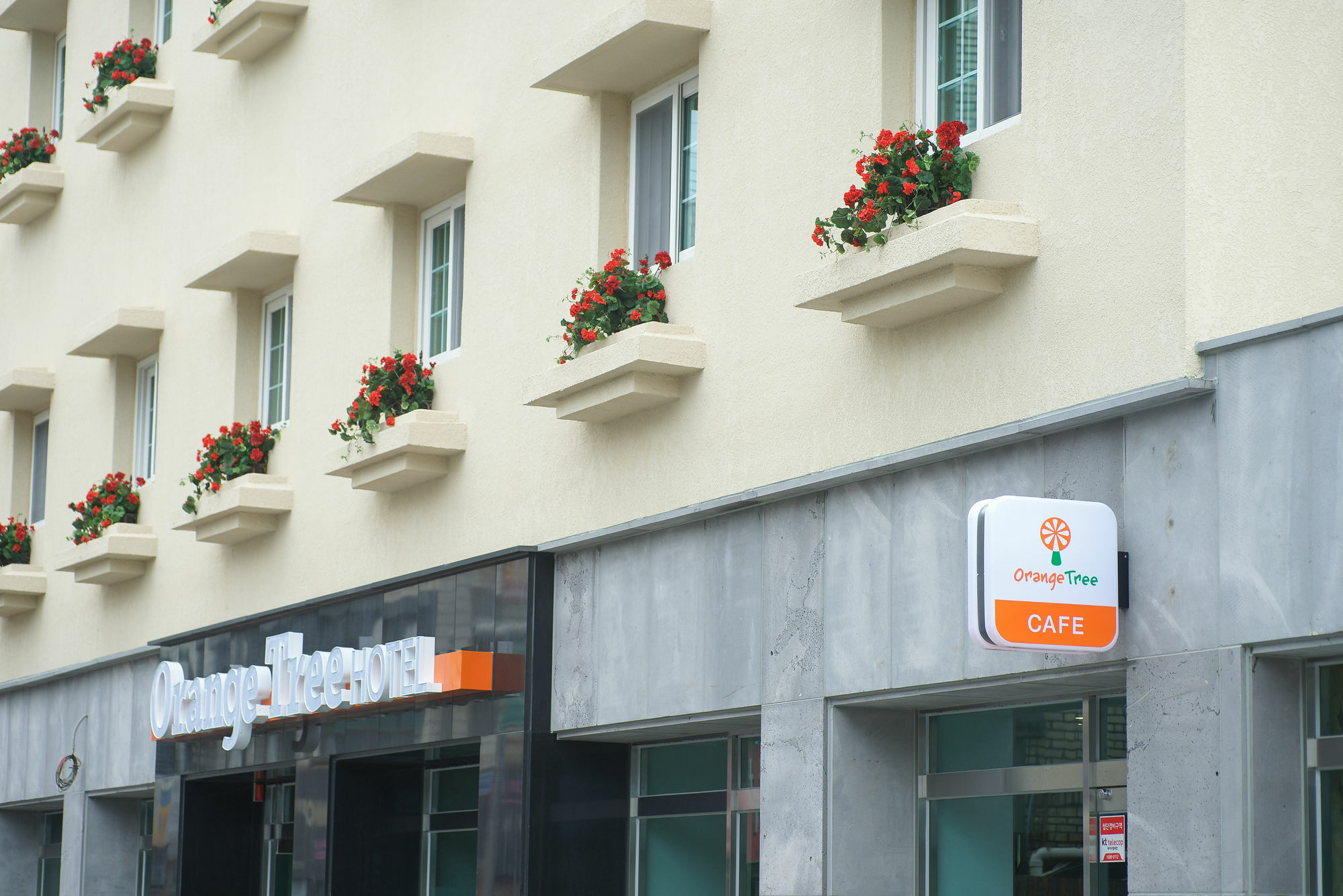 Orange Tree Hotel Jeju Extérieur photo